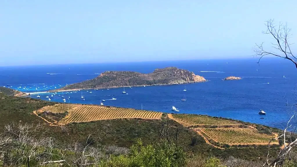 Vue de la mer depuis les hauteurs de Cavalaire-sur-mer .