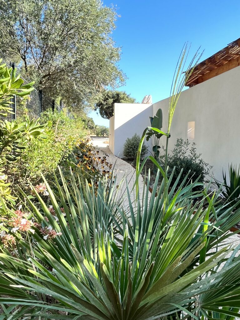 Jardin arboré et paysagé derrière la Maison de la Genette