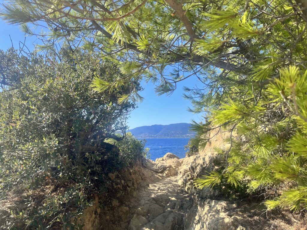 cavalaire vue du cap lardier